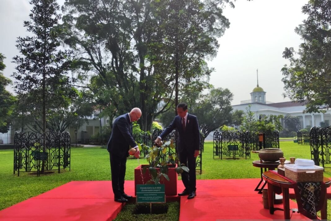Jokowi dan David Hurley tanam pohon Jokowi dan David Hurley tanam pohon
