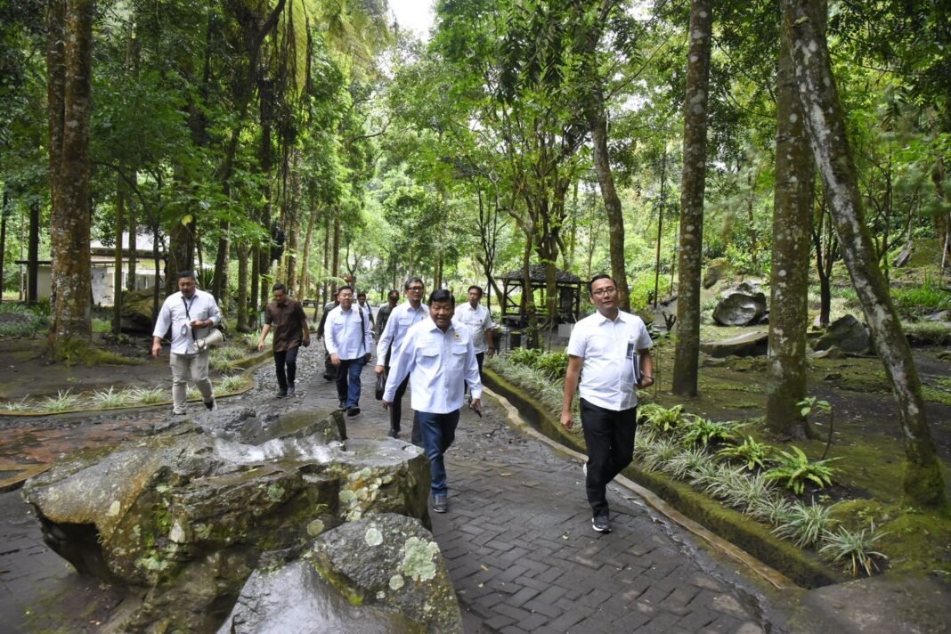 Andreas Eddy Susetyo tentang hutan