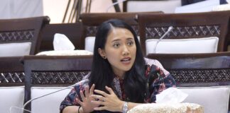 Puteri Komarudin Desak Pengawasan Ketat di PLB untuk Cegah Kebocoran Impor Ilegal puteri komarudin golkar