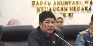 zulfikar hamonangan