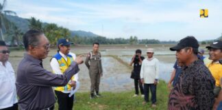 Menteri Pekerjaan Umum meninjau proyek rehabilitasi irigasi di Pulau Buton.