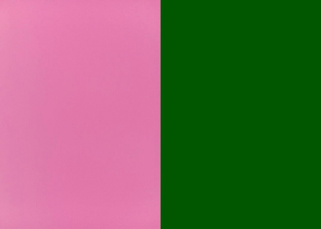 Brave Pink dan Hero Green jadi simbol aksi solidaritas di media sosial. Brave Pink dan Hero Green jadi simbol aksi solidaritas di media sosial.