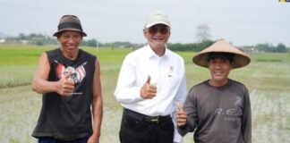 Bendungan Logung yang menyuplai air untuk irigasi pertanian di Kabupaten Kudus dan Pati.