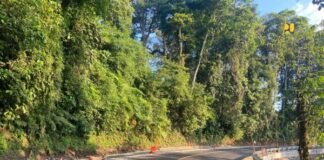 Kementerian PU Perkuat Ekonomi Rakyat Lewat Program Padat Karya Jalan dan Jembatan