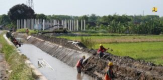 Kementerian PU Genjot Rehabilitasi Irigasi Delta Brantas di Sidoarjo, Dorong Ketahanan Pangan Nasional