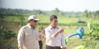 Presiden Prabowo Targetkan Indonesia Swasembada Pangan, Tak Lagi Impor Beras Akhir Tahun Ini