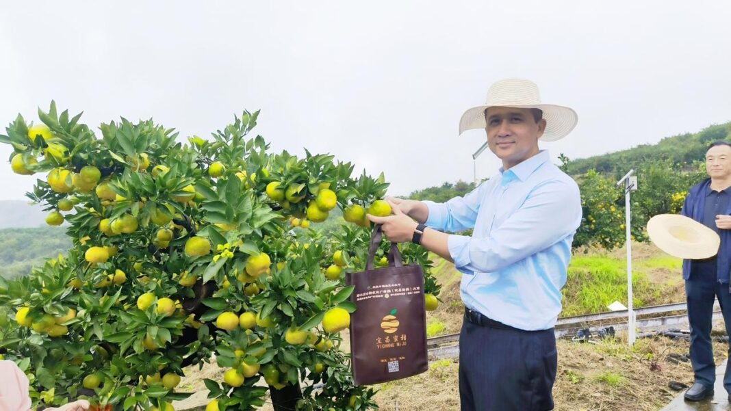 Belajar dari Yichang, Mentrans Iftitah: Bukti Transmigrasi Bisa Jadi Penggerak Ekonomi