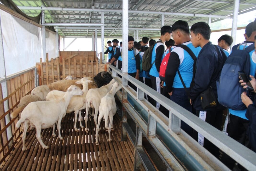 beasiswa ternak di Wonosobo Viral Pemkab Wonosobo Berikan Beasiswa Ternak kepada Siswa, Ini Penjelasan Sekda!