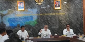 Pemerintah Bangun 100 Gudang Bulog, Solusi Atasi Keterbatasan Penyimpanan Gabah Petani