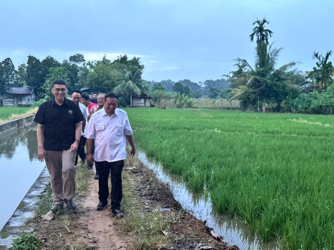 Kejar target ketahanan pangan, Stafsus Menko Infrastruktur & Pembangunan Kewilayahan, Herzaky Mahendra Putra, meninjau progres pembangunan irigasi di Singkawang dan Sambas. Infrastruktur pengairan diperkuat untuk mendukung swasembada pangan dan meningkatkan kesejahteraan petani.