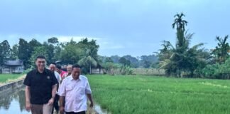 Kejar target ketahanan pangan, Stafsus Menko Infrastruktur & Pembangunan Kewilayahan, Herzaky Mahendra Putra, meninjau progres pembangunan irigasi di Singkawang dan Sambas. Infrastruktur pengairan diperkuat untuk mendukung swasembada pangan dan meningkatkan kesejahteraan petani.