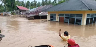 Banjir di Sumbar Meluas, 13 Daerah Terdampak dan Status Tanggap Darurat Ditetapkan