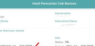 27 Juta Lebih Keluarga Sudah Terima BLTS Kesra Rp900 Ribu, Begini Cara Cek Nama Penerima! 27 Juta Lebih Keluarga Sudah Terima BLTS Kesra Rp900 Ribu, Begini Cara Cek Nama Penerima!