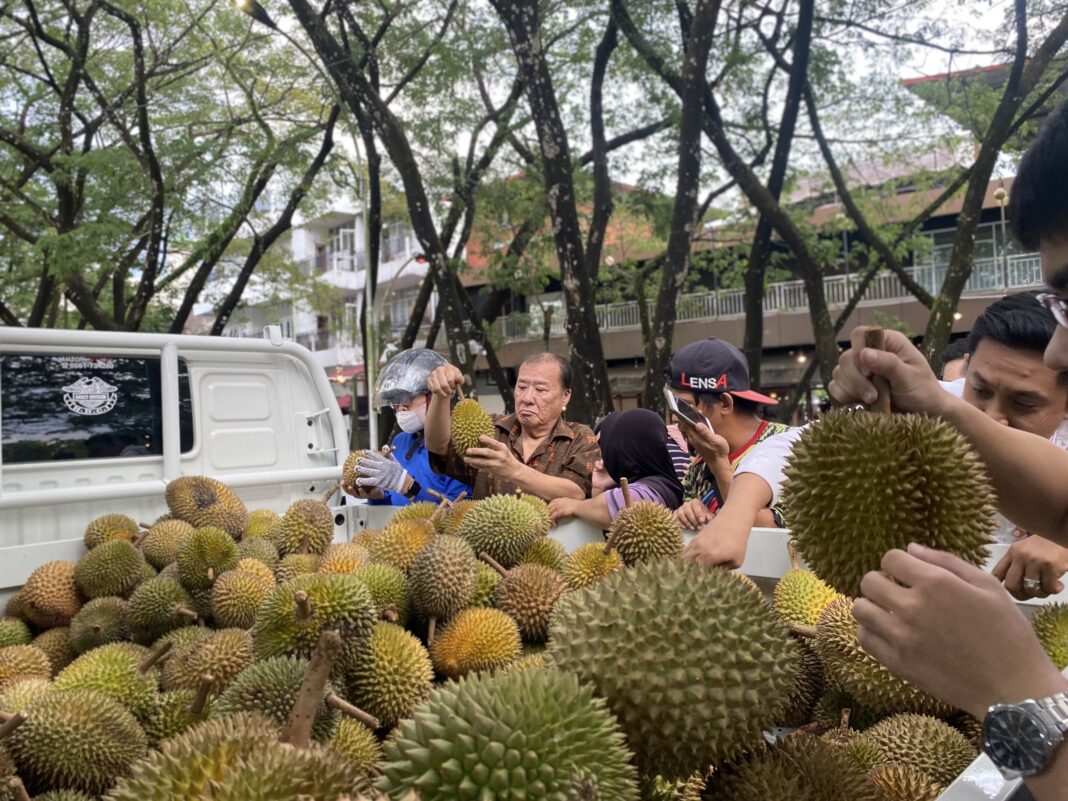 Antusiasme pencinta durian di Pontianak Memilih durian jemongko.