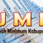 Upah Minimum Seragam per Provinsi, Demokrat Usulkan Penghapusan UMK