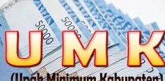 Upah Minimum Seragam per Provinsi, Demokrat Usulkan Penghapusan UMK