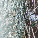 Bus PO Cahaya Trans mengalami kecelakaan di exit Tol Krapyak Semarang dini hari. Sebanyak 15 penumpang meninggal dunia dan 19 lainnya luka-luka.