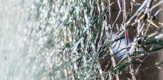 Bus PO Cahaya Trans mengalami kecelakaan di exit Tol Krapyak Semarang dini hari. Sebanyak 15 penumpang meninggal dunia dan 19 lainnya luka-luka.