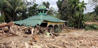 Gubernur Sumut Bobby Nasution menanggapi viralnya kayu gelondongan terbawa banjir dan menyatakan fokus utama saat ini adalah evakuasi warga.