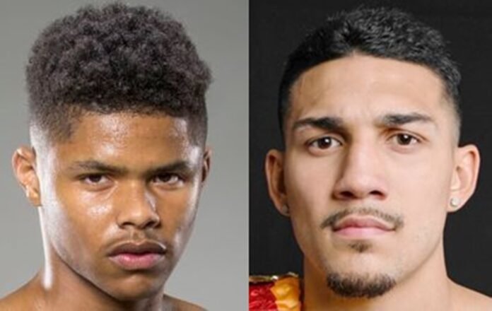 Shakur Stevenson dan Teofimo Lopez. Cek Jadwal Tinju Dunia 2026 di Tajuk Nasional