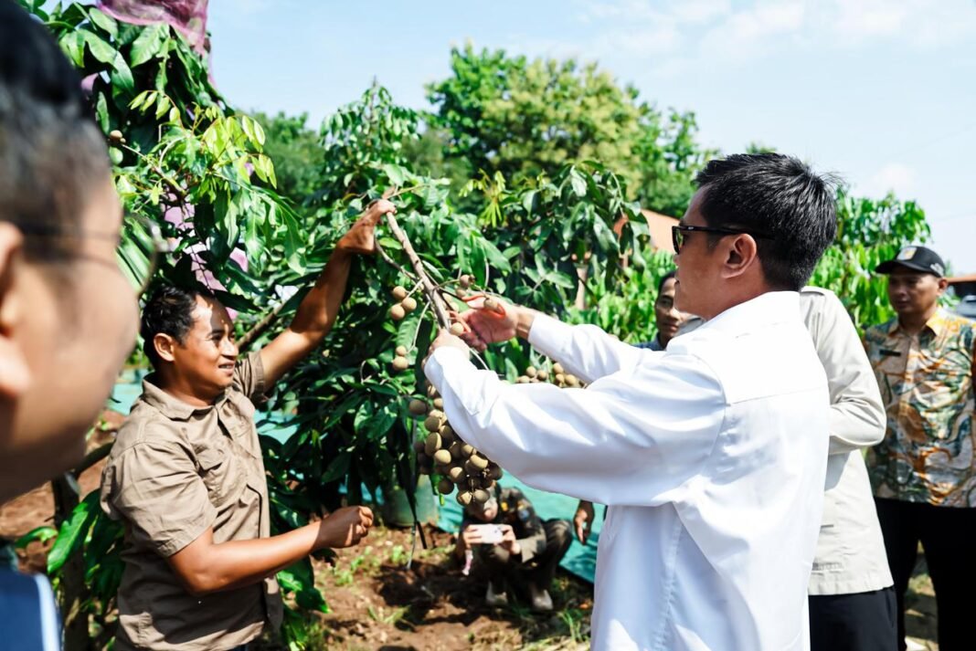 Kemenko PM Optimalkan Kawasan Widuri, Target Kemiskinan Ekstrem 0 Persen