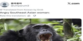 Satu di antara unggahan K-Netz Korea Selatan dengan ujaran kebencian terhadap wanita Asia Tenggara jadi satu di antara tweetwar dari perang kta antara K-Netz atau netiezen Korea Selatan Vs Indonesia Dkk di media sosial. Termasuk di hari ini Kamis (12/2/2026). TANGKAPAN LAYAR OFFICIAL X @UPMEREU3 / REPRO
