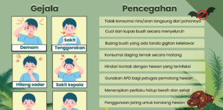 Waspada Virus Nipah! Ini Risiko dan Langkah Pencegahan yang Perlu Diketahui Waspada Virus Nipah! Ini Risiko dan Langkah Pencegahan yang Perlu Diketahui