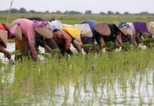 Penggerak Ekonomi di Daerah, Demokrat Ajak Petani Perkuat Nilai-nilai Kebangsaan Penggerak Ekonomi di Daerah, Demokrat Ajak Petani Perkuat Nilai-nilai Kebangsaan