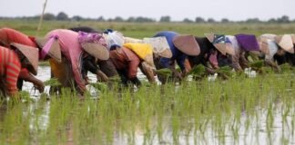 Penggerak Ekonomi di Daerah, Demokrat Ajak Petani Perkuat Nilai-nilai Kebangsaan