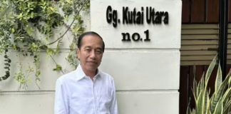 Pengamat Citra Institute Efriza menilai label “Tembok Ratapan Solo” di Google Maps menjadi bentuk kritik netizen yang membangun citra negatif terhadap Jokowi dan keluarganya. Ia memperkirakan efeknya bisa merembet ke PSI jelang Pemilu 2029.