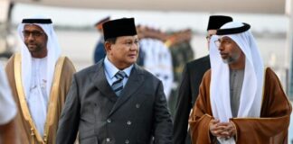 Presiden Prabowo Lanjutkan Diplomasi Timur Tengah, Perkuat Kemitraan RI–PEA