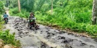 Kritik Pemda Sikka, Fraksi Demokrat DPRD Sikka Soroti Jalan Rusak dan Ancaman Abrasi