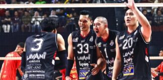 Final Proliga 2026 semakin dekat. Simak jadwal grand final di Yogyakarta, rangkaian final four, dan peta persaingan tim putra maupun putri musim ini.