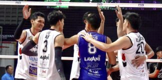 LavAni lolos grand final Proliga 2026 setelah mengalahkan Garuda Jaya 3-0. Simak hasil pertandingan, klasemen terbaru, dan peluang juara LavAni.