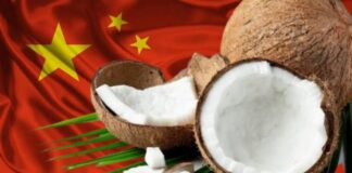 Peluang Ekspor Terbuka, Mentrans Sebut Bidik Kelapa hingga Durian dari Wilayah Transmigrasi ke China