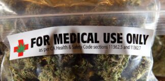 Tekan Peredaran Gelap Ganja, Demokrat Usulkan Kawasan Ekonomi Khusus Ganja Medis