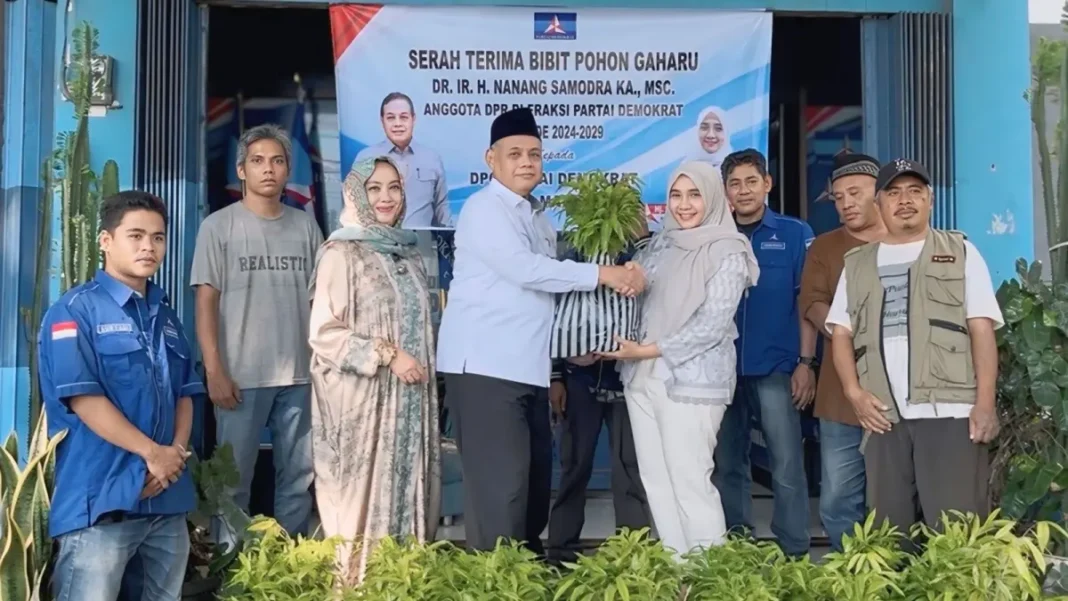 Demokrat Mataram Terima 500 Bibit Gaharu, Disiapkan untuk Penghijauan dan Pemberdayaan Ekonomi