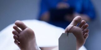 Fakta Kasus Hantavirus di Kalbar, Satu Pasien Meninggal Dunia Kasus Hantavirus di Kalbar, Pasien Ketapang Meninggal