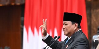 Pemerintah Tunjuk BUMN Jadi Eksportir Tunggal Sawit dan Batu Bara
