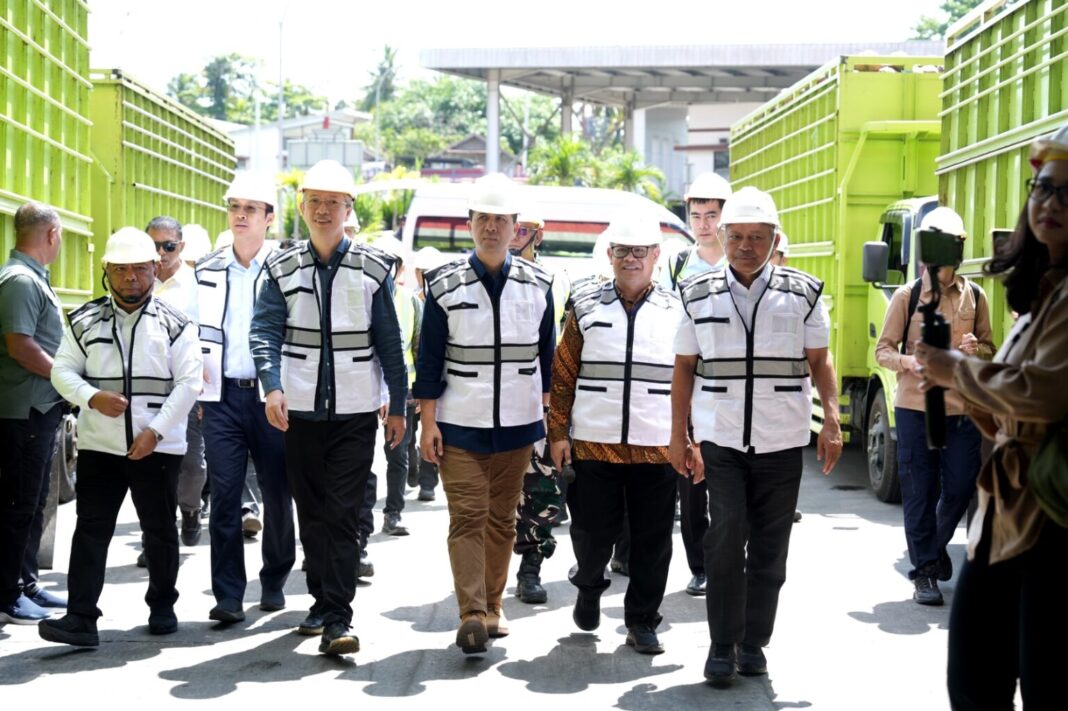 Kebutuhan Kelapa Tiongkok Capai 4 Miliar Butir, Halmahera Utara Bidik Peluang Ekspor