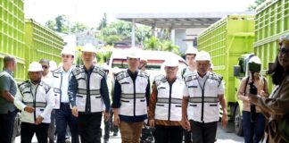 Kebutuhan Kelapa Tiongkok Capai 4 Miliar Butir, Halmahera Utara Bidik Peluang Ekspor