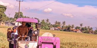 Petani Terdampak Bencana di Banten Bisa Ajukan Bantuan Benih, Ini Tahapan dan Syaratnya Petani Terdampak Bencana di Banten Bisa Ajukan Bantuan Benih, Ini Tahapan dan Syaratnya