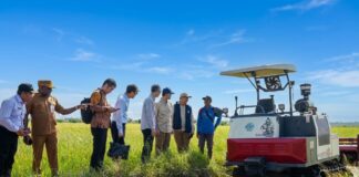 Indonesia dan China Jajaki Kerja Sama Pertanian Modern di Kawasan Transmigrasi Salor