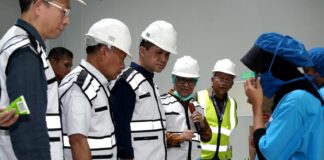 Harga Kelapa Naik Hingga 6 Kali Lipat, Hilirisasi Ubah Wajah Ekonomi Halmahera Utara