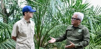 Menteri Transmigrasi Dukung Penyelesaian Status Lahan BOSF di Samboja Lestari