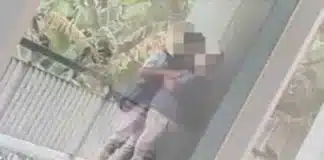 [Viral] Video Mahasiswa Berciuman Sesama Jenis di Kampus PNJ Viral, Pihak Kampus Lakukan Pemeriksaan