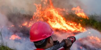 Bukan Haji Isam, Ini Pejabat yang Ditunjuk Presiden Prabowo Tangani Karhutla Kalimantan Ilustrasi pemadaman kebakaran hutan dan lahan di Kalimantan. Istana membantah isu Haji Isam ditunjuk memimpin penanganan karhutla.