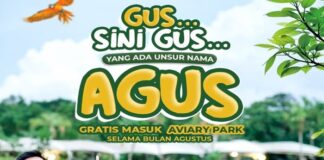 PROMO KEMEDEKAAN - Aviary Park menghadirkan promo Kemerdekaan yang istimewa pada HUT ke-81 RI tahun ini. Satu di antaranya, gratis masuk bagi warga yang bernama Agus! Berikut selengkapnya, Selasa (4/8/2026). OFFICIAL INSTAGRAM AVIARY PARK.REPRO