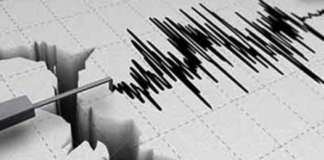 Caption Foto: Aktivitas gempa bumi kembali mengguncang wilayah Flores, Nusa Tenggara Timur. Rangkaian gempa pada Agustus 2026 menjadi pengingat pentingnya kewaspadaan dan kesiapsiagaan menghadapi ancaman gempa bumi di Indonesia.
