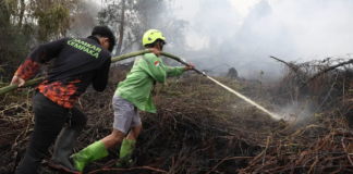 Apa Itu El Nino Godzilla Sebabkan Karhutla? Ini Prediksi Kapan Berakhir Menurut BMKG Fenomena El Nino kuat meningkatkan potensi kekeringan dan risiko kebakaran hutan dan lahan di sejumlah wilayah Indonesia, termasuk Kalimantan. Kondisi ini diperkirakan masih berlangsung hingga awal 2027.